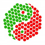 Magnetfeldtherapie