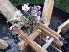 Blumen auf Holu aufstellen