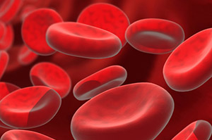 blut